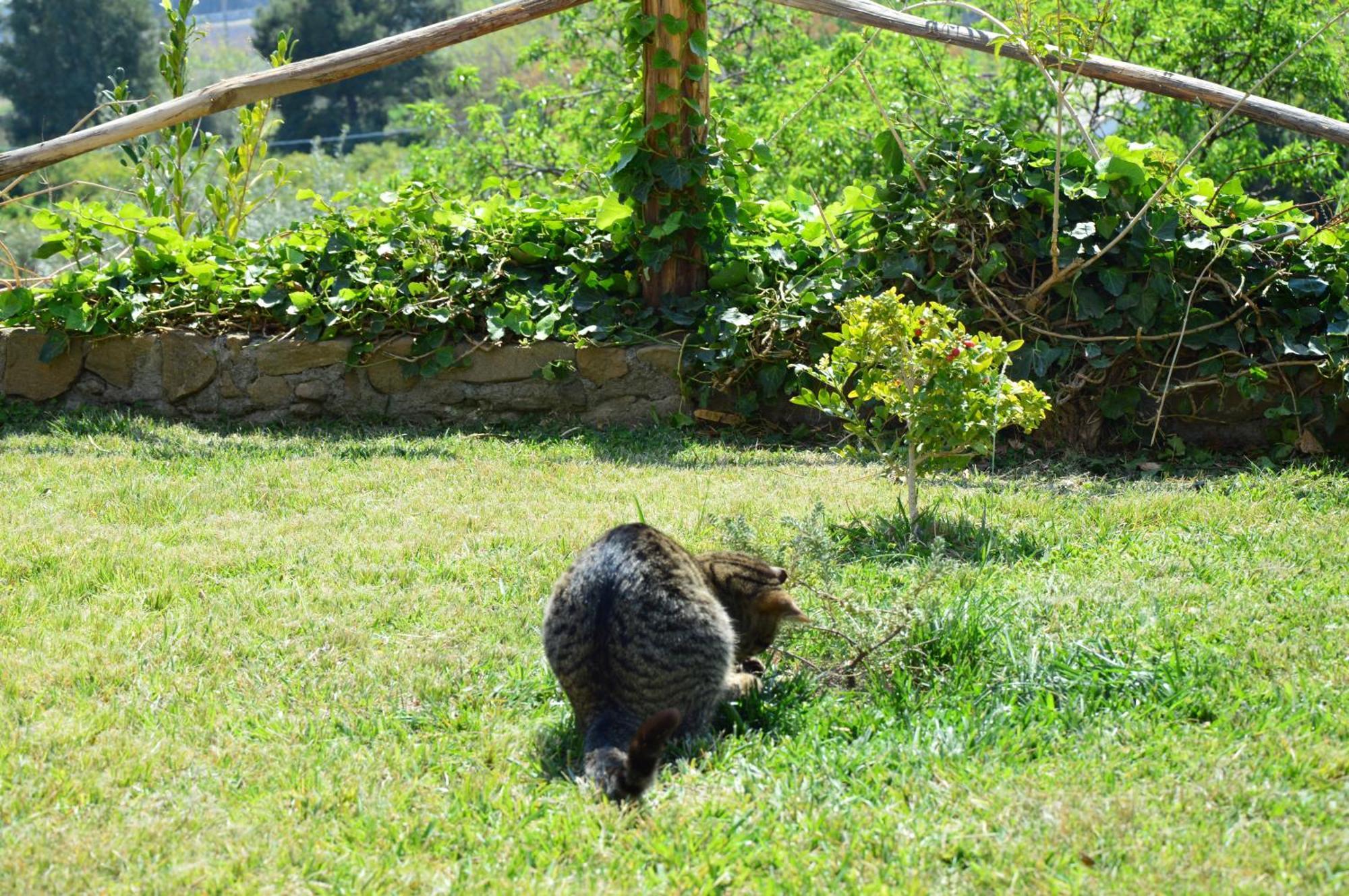 Antico Borgo Etneo Country Hotel カラタビアーノ エクステリア 写真