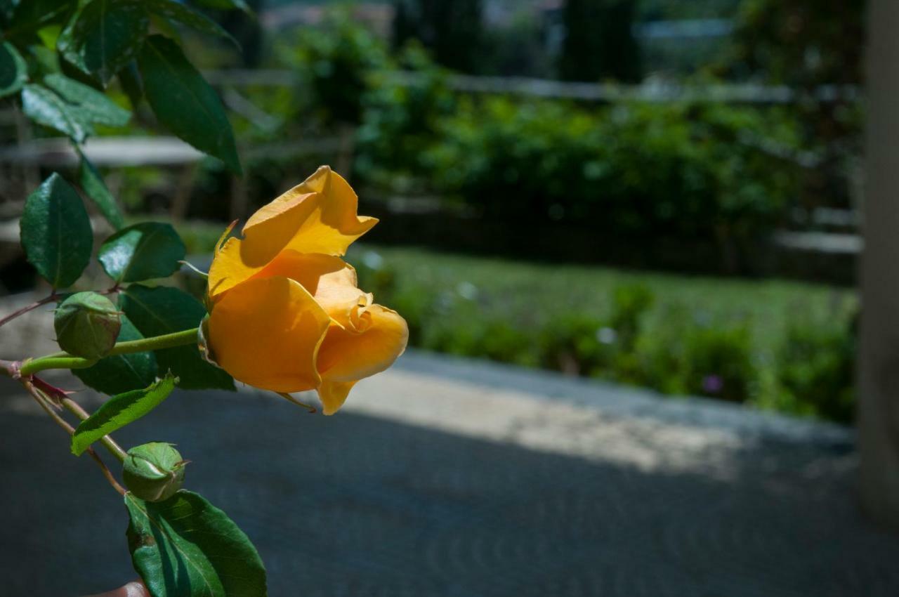 Antico Borgo Etneo Country Hotel カラタビアーノ エクステリア 写真